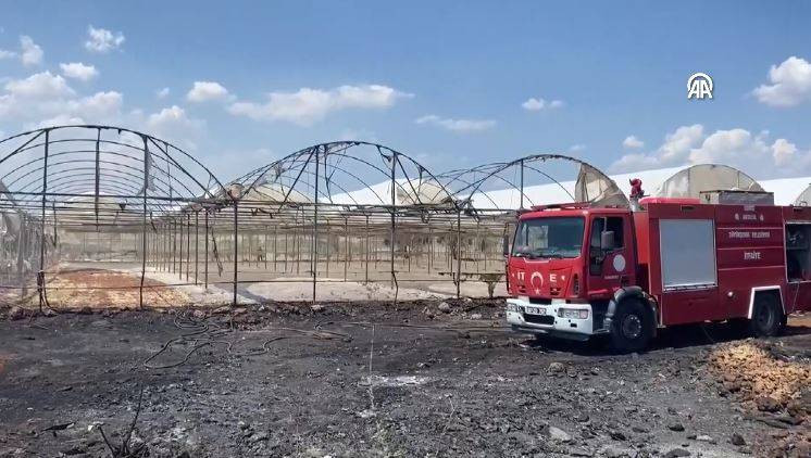 Otluk alanda başladı orman ve seralara sıçradı - Resim: 4